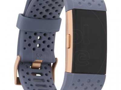 Fitbit Charge 2 Blue/Grey Sport - L
