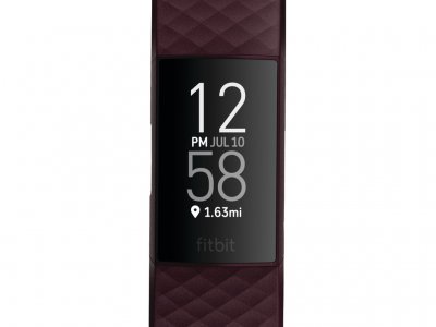 Fitbit Charge 4 Palissander