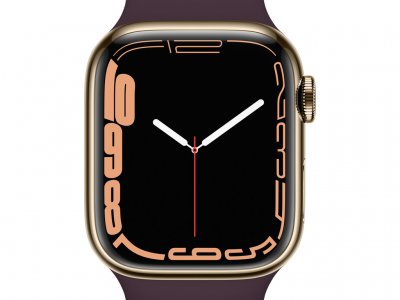 Apple Watch Series 7 4G 41mm Goud Rvs Paarse Sportband